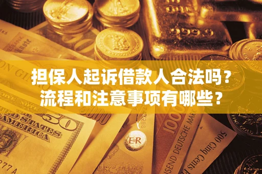 北京担保人起诉借款人合法吗？流程和注意事项有哪些？