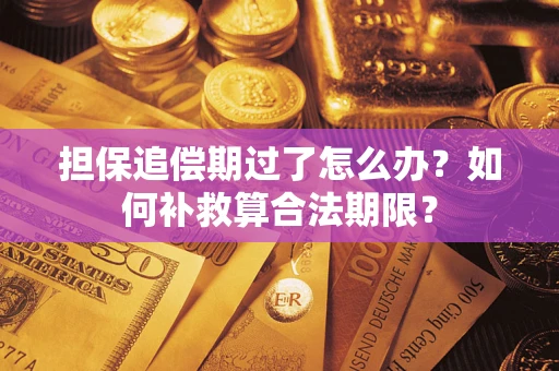 北京担保追偿期过了怎么办？如何补救算合法期限？