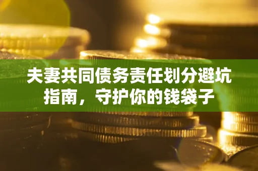 北京夫妻共同债务责任划分避坑指南，守护你的钱袋子