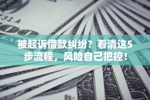 北京被起诉借款纠纷？看清这5步流程，风险自己把控！